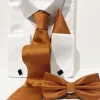 ST11 Oranje Stropdas/vlinderdas
